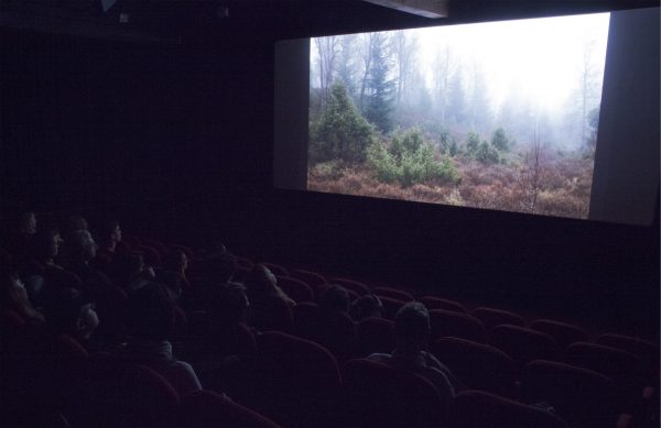 Charlotte Prodger, BRIDGIT and LHB, screening, 2017. Photo: Coco Duivenvoorde.
