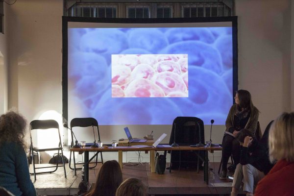 Sven Lütticken, ‘The V-Conspiracy – Refunctioning Authorship or, After Appropriation and Institutional Critique’, (2014), conversation & screening. Photo: Kyle Tryhorn