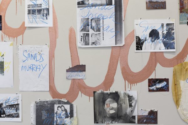 Sands Murray-Wassink, ‘In Good Company (Horsepower): Materials from the Gift Science Archive, 1993 – present’ (2021), exhibition. Photo: Charlott Markus.