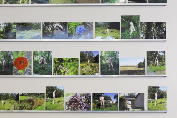 Sands Murray-Wassink, ‘In Good Company (Horsepower): Materials from the Gift Science Archive, 1993 – present’ (2021), exhibition. Photo: Charlott Markus.