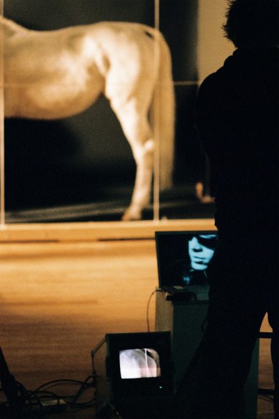 Jon Mikel Euba, ‘RE: Horse’ (2008), performance. Photo: Sal Kroonenberg.