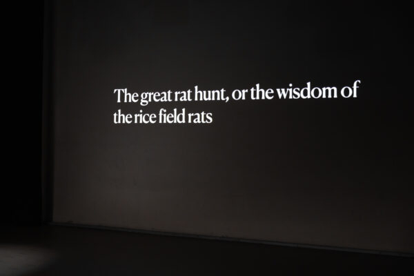 Nuraini Juliastuti, ‘Commons Museums: Technologies for Covering the Wounds’ (2022), lecture. Photo: Maarten Nauw.