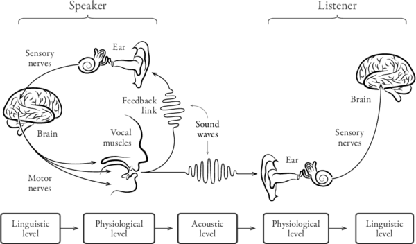 A speech chain diagram taken from Nina Sun Eidsheim’s ‘’The Race of Sound’’. The image portrays a symbolic depiction of the process of speech production and speech perception.