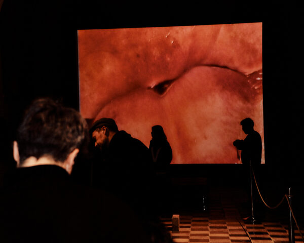 Silhouettes of a few scattered people in the darkness of the cavernous Gothic architecture of the Vleeshal in Middelburg. They are back-lit by the projection of a close-up of huge, plump red lips.