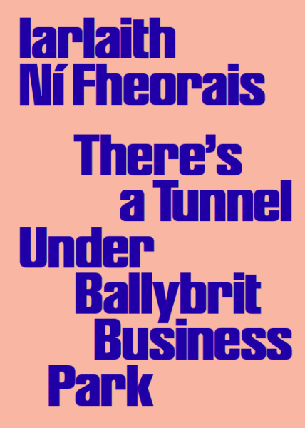 A pale pink background with bold blue text covering the full image, mentioning the author and the title of the book.