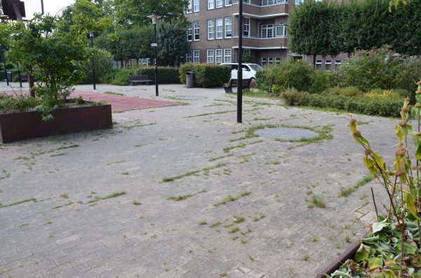 Photograph of a rather large paved area, from which a portion of a red sports court is visible. Grass growing spontaneously through the cracks and between the tiles of the ground forms a field of lines and circles, almost like Morse code. The area is enclosed by plants and bushes, beyond which parts of a historic Amsterdam brick building with white window frames can be seen.