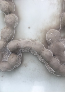 A mysterious image with sand tones features a clay form resembling a digestive organ, floating in a rarefied space with several bubbles.
